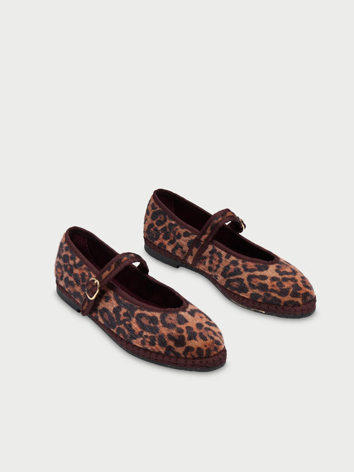 Pierre Feline Brown - Image 2