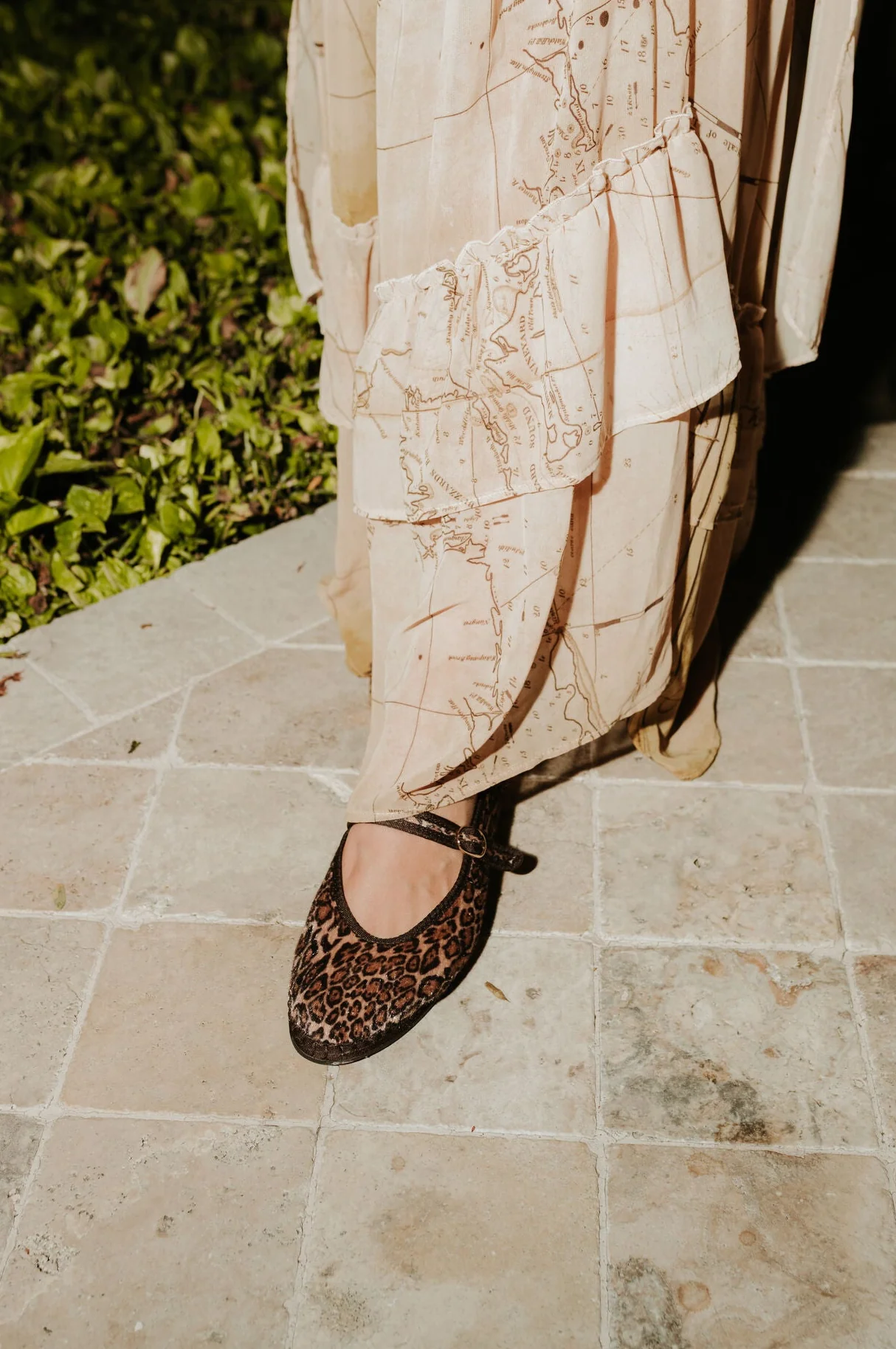 Pierre Leopard Brown